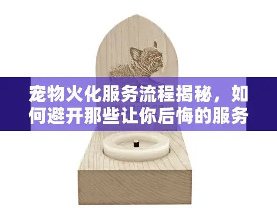 宠物火化服务流程揭秘，如何避开那些让你后悔的服务盲区？