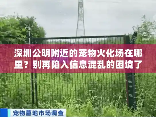 深圳公明附近的宠物火化场在哪里？别再陷入信息混乱的困境了