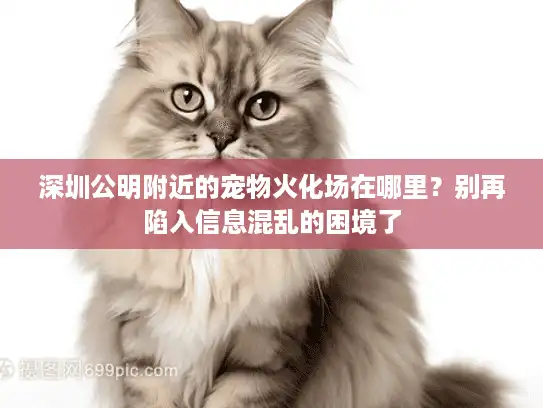 深圳公明附近的宠物火化场在哪里？别再陷入信息混乱的困境了