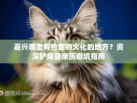 嘉兴哪里有给宠物火化的地方？资深铲屎官亲历避坑指南