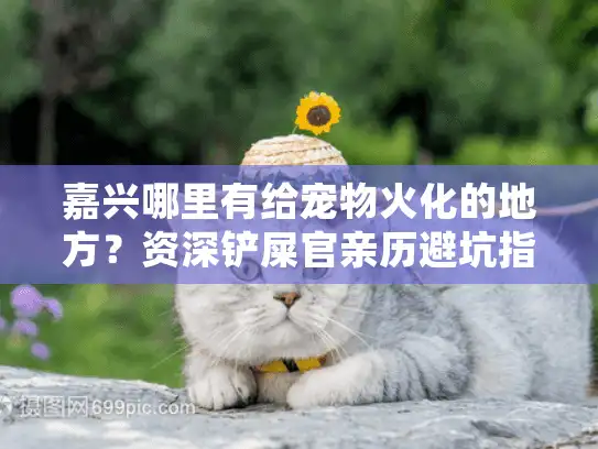 嘉兴哪里有给宠物火化的地方？资深铲屎官亲历避坑指南