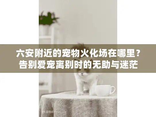 六安附近的宠物火化场在哪里？告别爱宠离别时的无助与迷茫