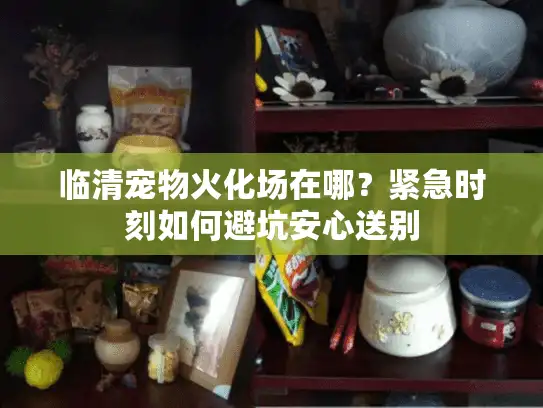 临清宠物火化场在哪？紧急时刻如何避坑安心送别