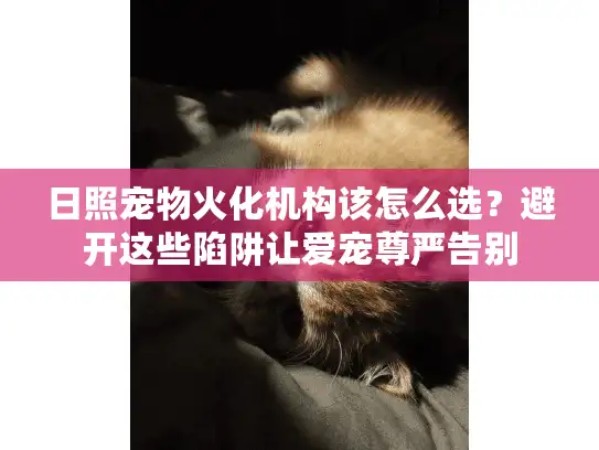 日照宠物火化机构该怎么选？避开这些陷阱让爱宠尊严告别