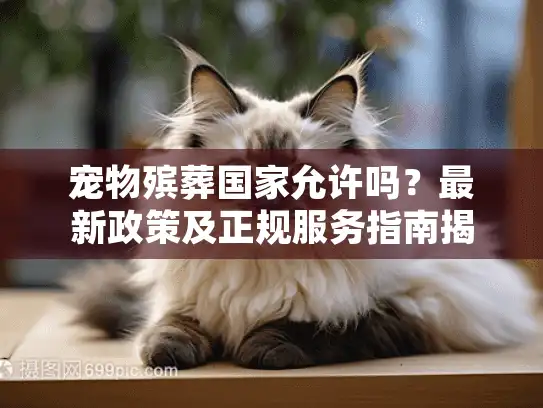 宠物殡葬国家允许吗？最新政策及正规服务指南揭秘