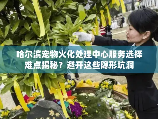 哈尔滨宠物火化处理中心服务选择难点揭秘？避开这些隐形坑洞
