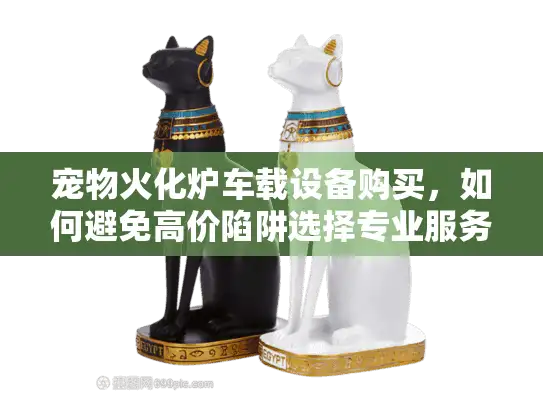 宠物火化炉车载设备购买，如何避免高价陷阱选择专业服务？