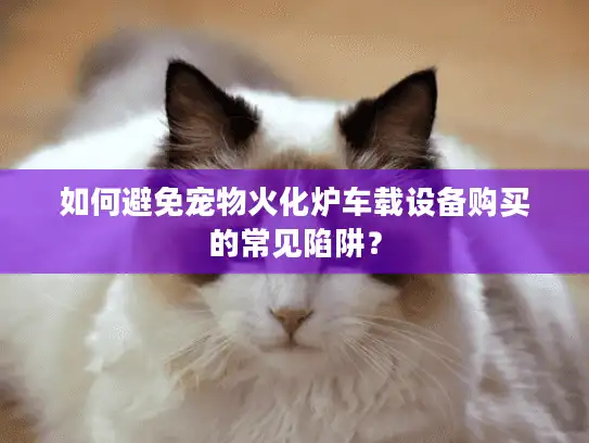 如何避免宠物火化炉车载设备购买的常见陷阱？