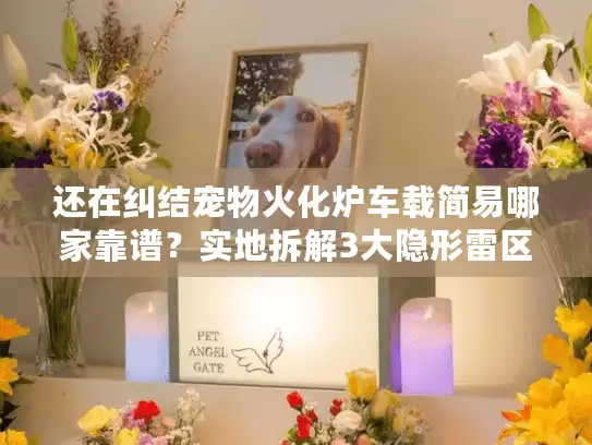 还在纠结宠物火化炉车载简易哪家靠谱？实地拆解3大隐形雷区