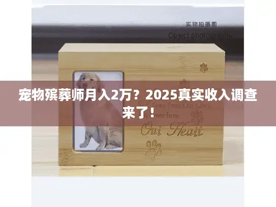 宠物殡葬师月入2万？2025真实收入调查来了！
