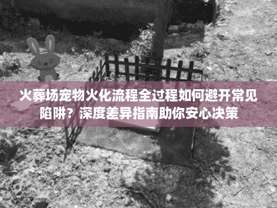 火葬场宠物火化流程全过程如何避开常见陷阱？深度差异指南助你安心决策