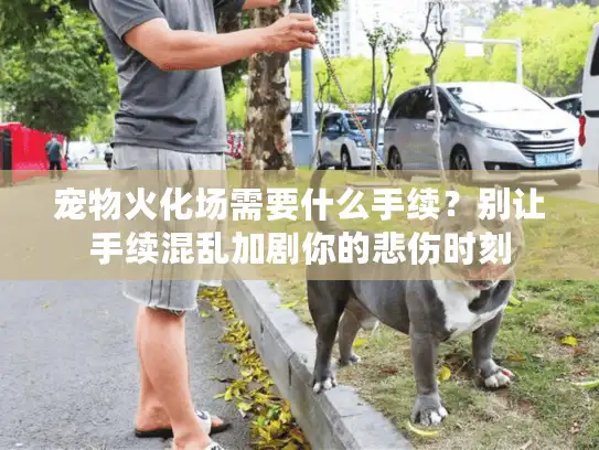 宠物火化场需要什么手续？别让手续混乱加剧你的悲伤时刻
