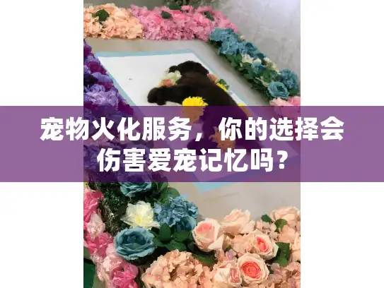 宠物火化服务，你的选择会伤害爱宠记忆吗？