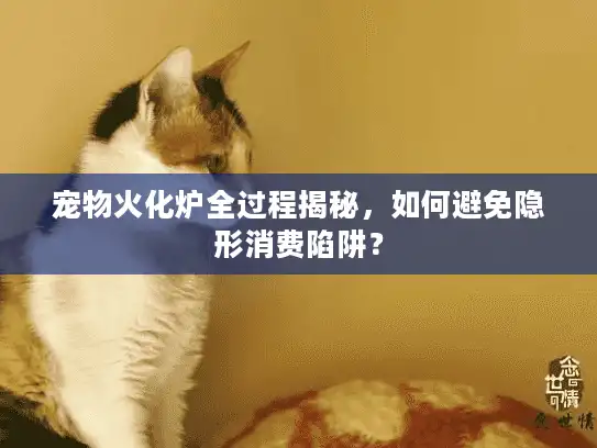 宠物火化炉全过程揭秘，如何避免隐形消费陷阱？