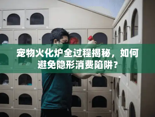 宠物火化炉全过程揭秘，如何避免隐形消费陷阱？