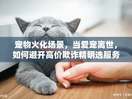 宠物火化场景，当爱宠离世，如何避开高价欺诈精明选服务？