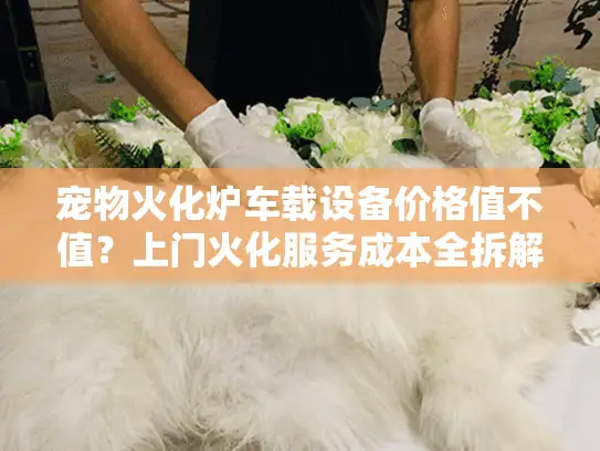 宠物火化炉车载设备价格值不值？上门火化服务成本全拆解