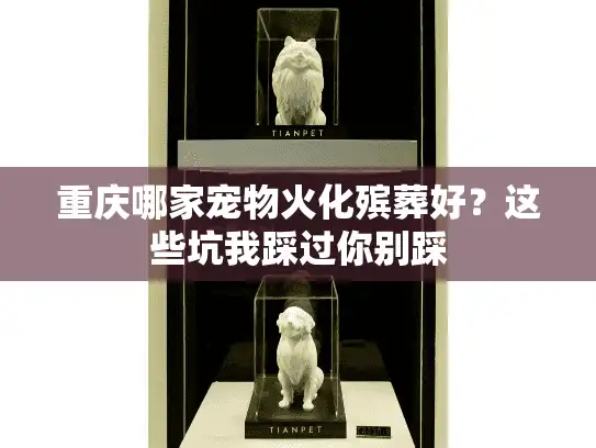 重庆哪家宠物火化殡葬好？这些坑我踩过你别踩
