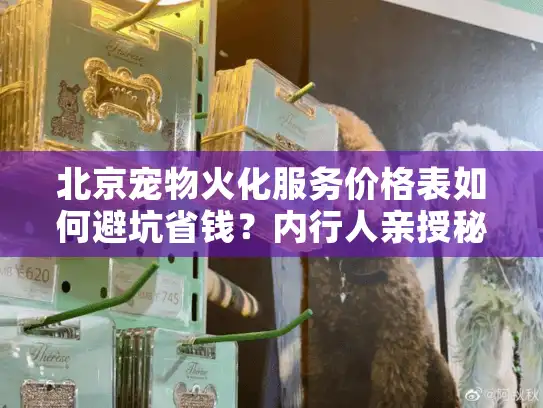 北京宠物火化服务价格表如何避坑省钱？内行人亲授秘籍