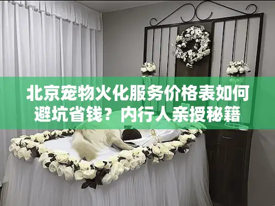 北京宠物火化服务价格表如何避坑省钱？内行人亲授秘籍