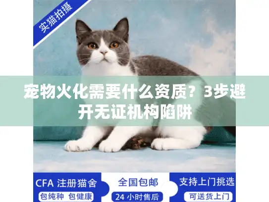 宠物火化需要什么资质？3步避开无证机构陷阱