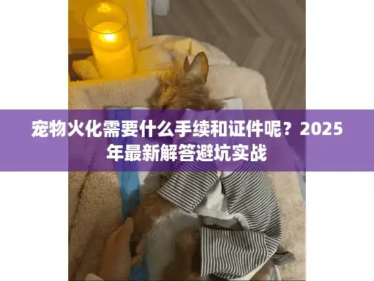 宠物火化需要什么手续和证件呢？2025年最新解答避坑实战