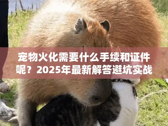 宠物火化需要什么手续和证件呢？2025年最新解答避坑实战