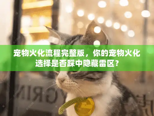 宠物火化流程完整版，你的宠物火化选择是否踩中隐藏雷区？