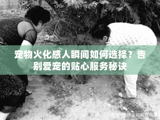 宠物火化感人瞬间如何选择？告别爱宠的贴心服务秘诀
