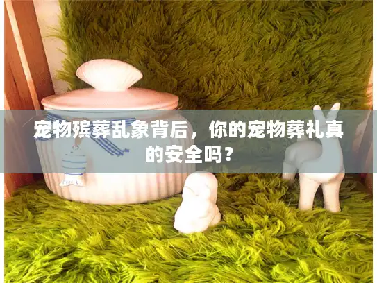 宠物殡葬乱象背后，你的宠物葬礼真的安全吗？