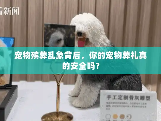 宠物殡葬乱象背后，你的宠物葬礼真的安全吗？