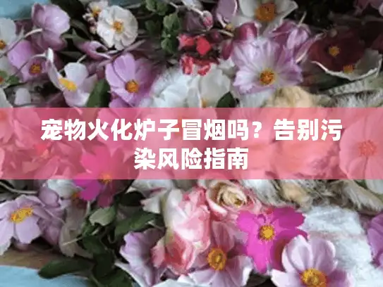 宠物火化炉子冒烟吗？告别污染风险指南