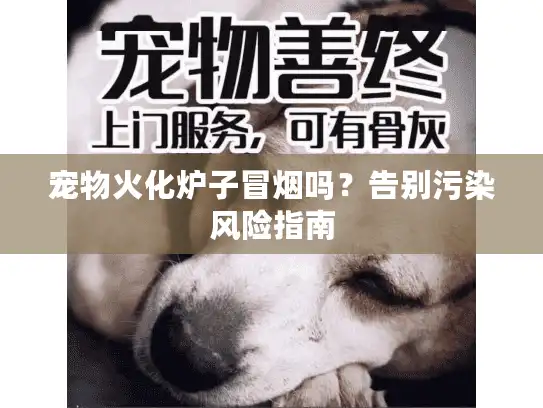 宠物火化炉子冒烟吗？告别污染风险指南