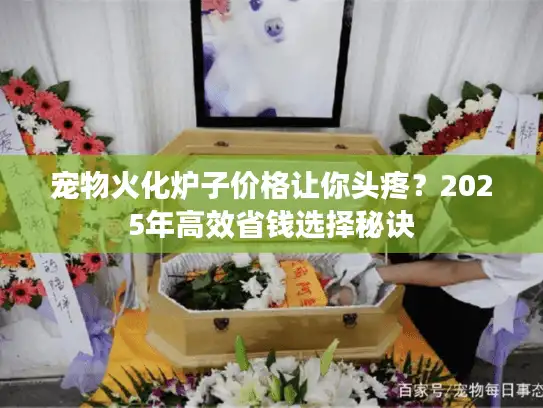 宠物火化炉子价格让你头疼？2025年高效省钱选择秘诀