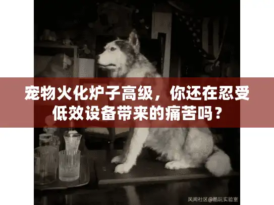 宠物火化炉子高级，你还在忍受低效设备带来的痛苦吗？
