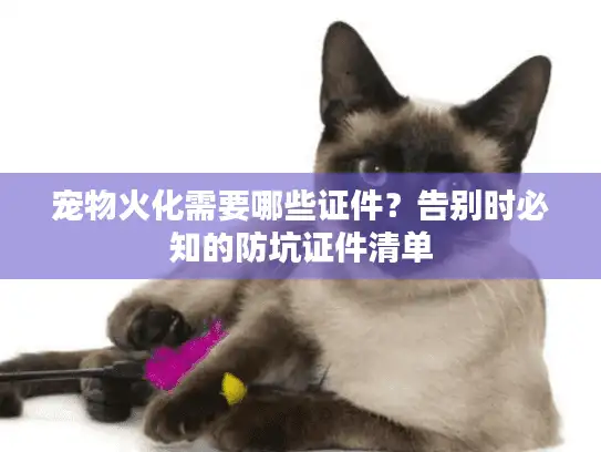 宠物火化需要哪些证件？告别时必知的防坑证件清单
