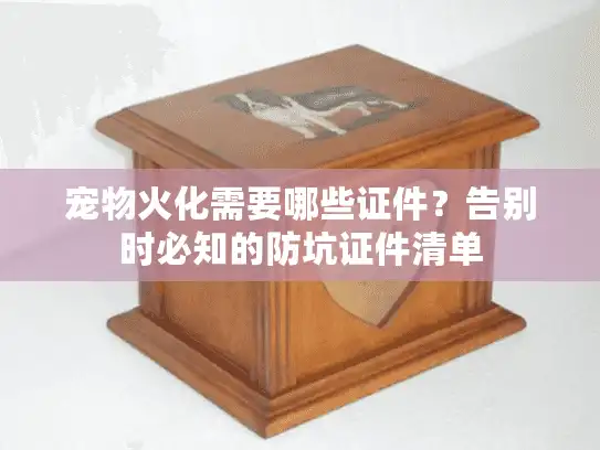 宠物火化需要哪些证件？告别时必知的防坑证件清单