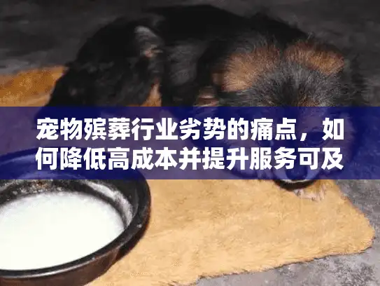 宠物殡葬行业劣势的痛点，如何降低高成本并提升服务可及性？