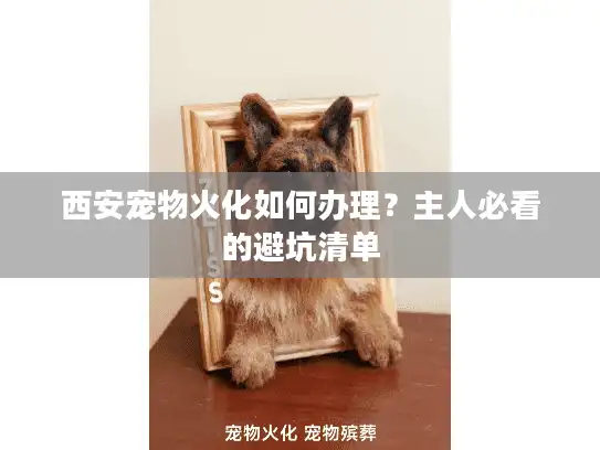 西安宠物火化如何办理？主人必看的避坑清单