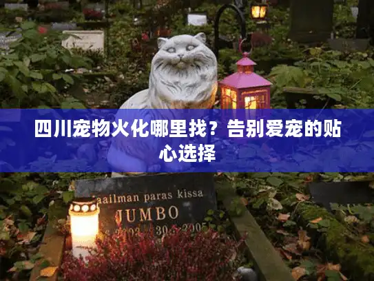 四川宠物火化哪里找？告别爱宠的贴心选择