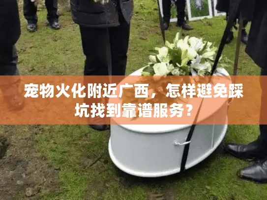 宠物火化附近广西，怎样避免踩坑找到靠谱服务？