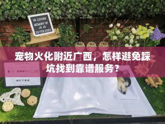 宠物火化附近广西，怎样避免踩坑找到靠谱服务？