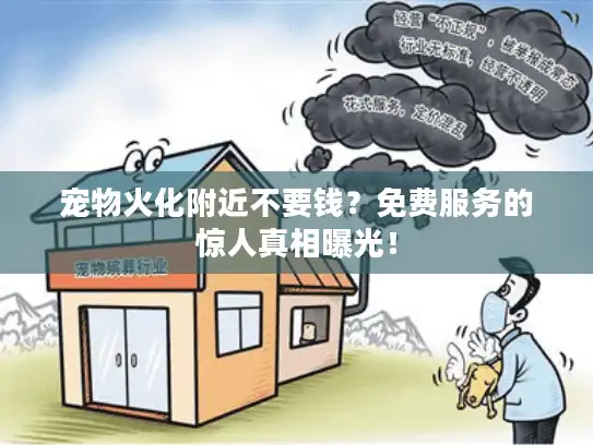宠物火化附近不要钱？免费服务的惊人真相曝光！