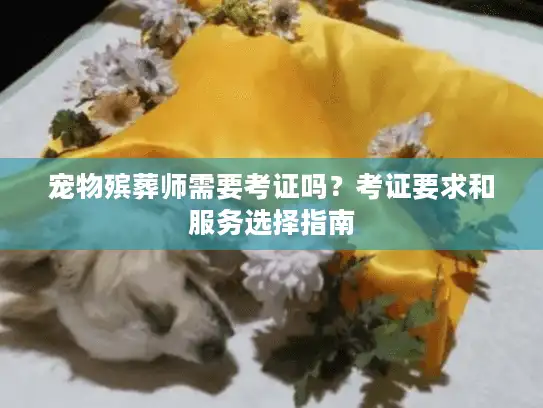 宠物殡葬师需要考证吗？考证要求和服务选择指南