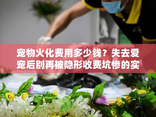宠物火化费用多少钱？失去爱宠后别再被隐形收费坑惨的实战秘籍