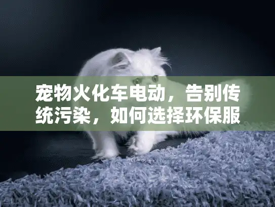 宠物火化车电动，告别传统污染，如何选择环保服务？