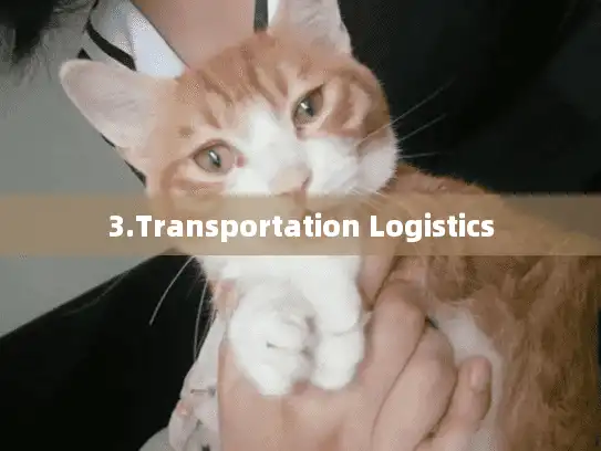 3.Transportation Logistics
