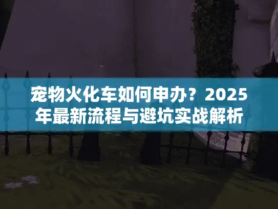 宠物火化车如何申办？2025年最新流程与避坑实战解析