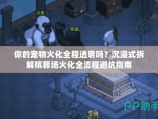 你的宠物火化全程透明吗？沉浸式拆解殡葬场火化全流程避坑指南