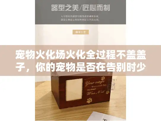 宠物火化场火化全过程不盖盖子，你的宠物是否在告别时少了份尊严？